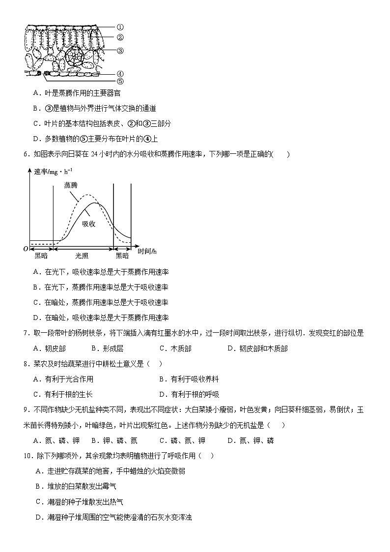 第四章植物的物质和能量的转化练习题    华东师大版科学八年级上册第2页