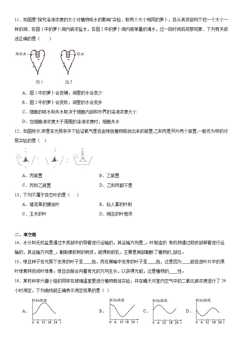 第四章植物的物质和能量的转化练习题    华东师大版科学八年级上册第3页