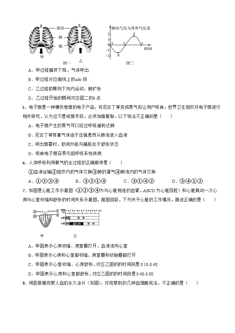 第五章 人体的物质和能量的转化 章节测试　 华东师大版科学八年级上册02