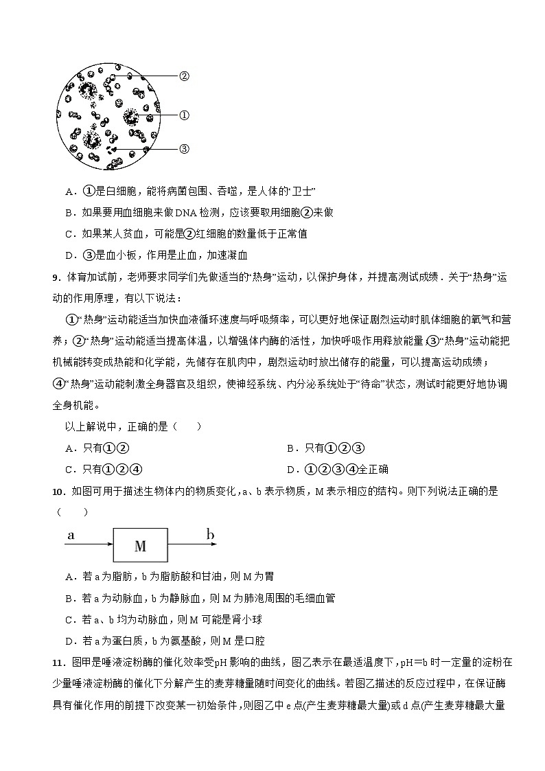 第五章 人体的物质和能量的转化 章节测试　 华东师大版科学八年级上册03