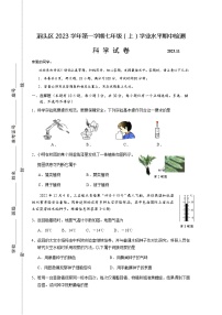 浙江省温州市洞头区2023-2024学年七年级上学期期中检测科学试卷