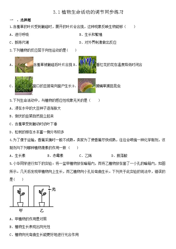 3.1植物生命活动的调节同步练习  浙教版八年级上册科学第1页