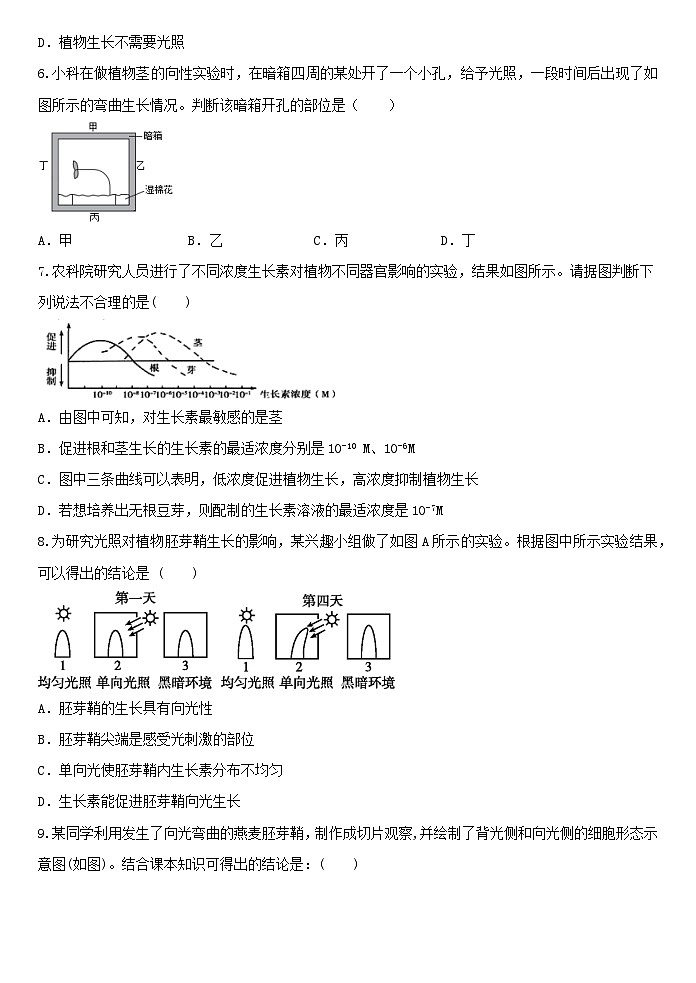 3.1植物生命活动的调节同步练习  浙教版八年级上册科学第2页