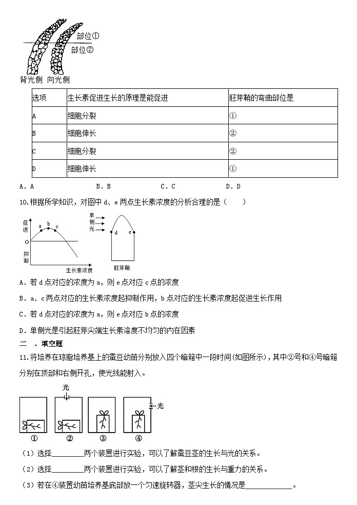 3.1植物生命活动的调节同步练习  浙教版八年级上册科学第3页