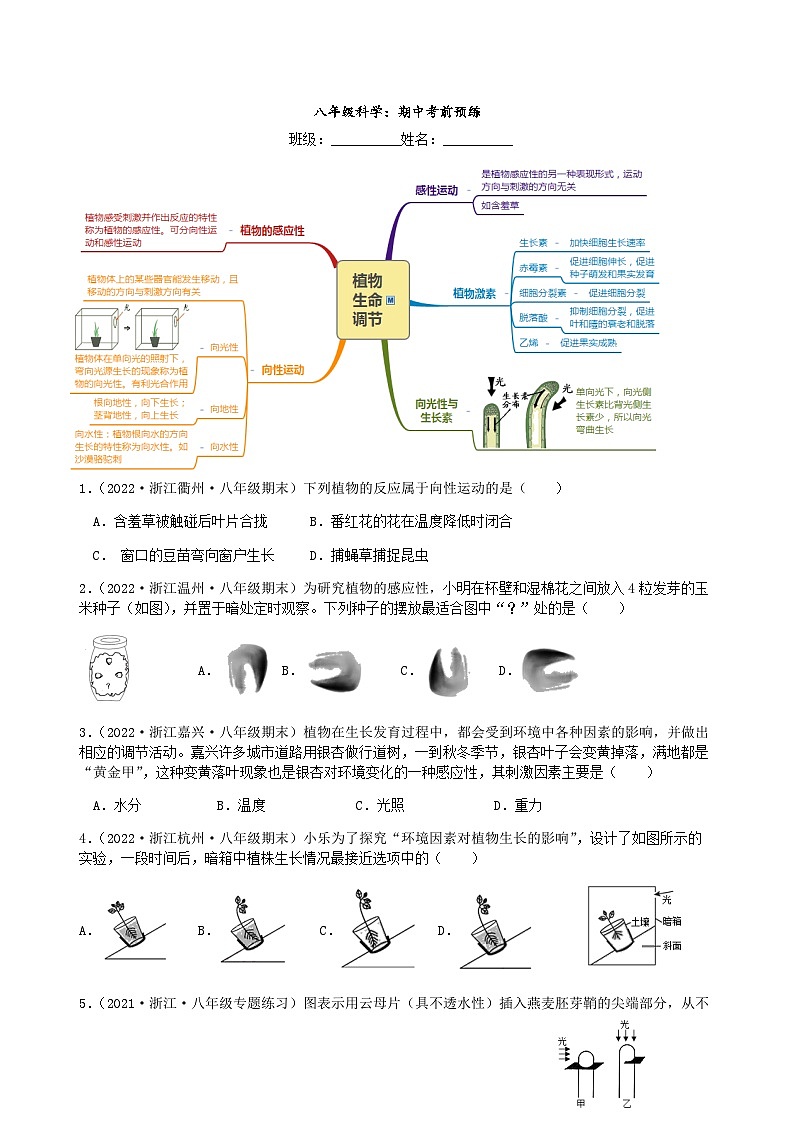 期中考前 复习卷     浙教版科学八年级上册第1页