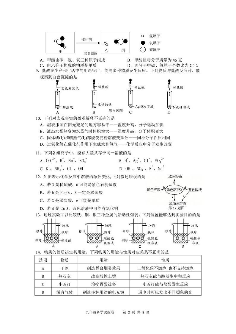 浙江省丽水市龙泉市2023-2024学年上学期期中考试九年级科学试卷（PDF版，含答案）02