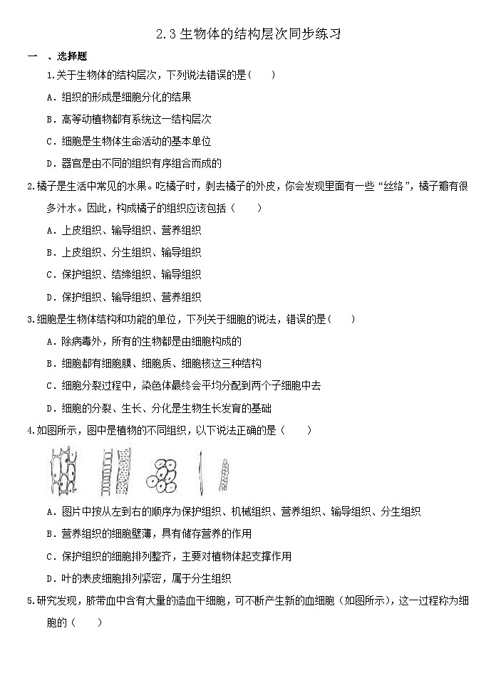 2.3生物体的结构层次同步练习  浙教版七年级上册科学01