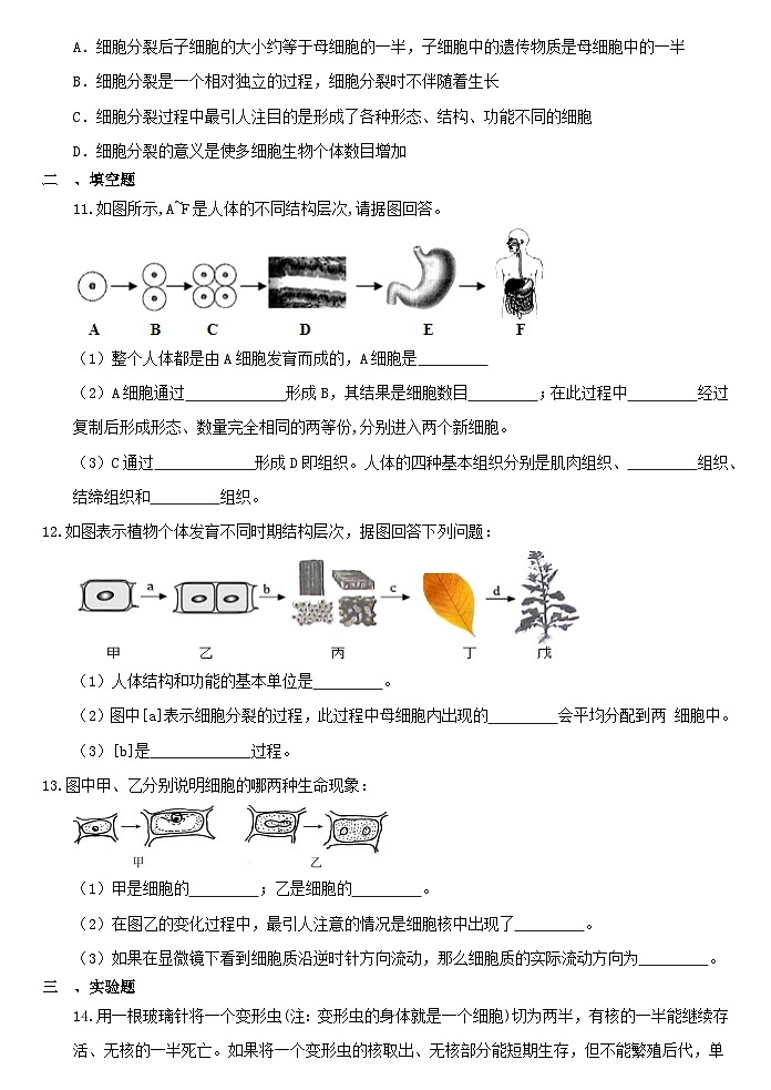 2.3生物体的结构层次同步练习  浙教版七年级上册科学03