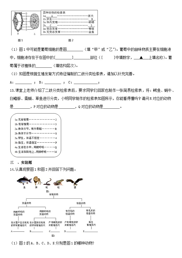 2.4常见的动物同步练习 浙教版七年级上册科学03
