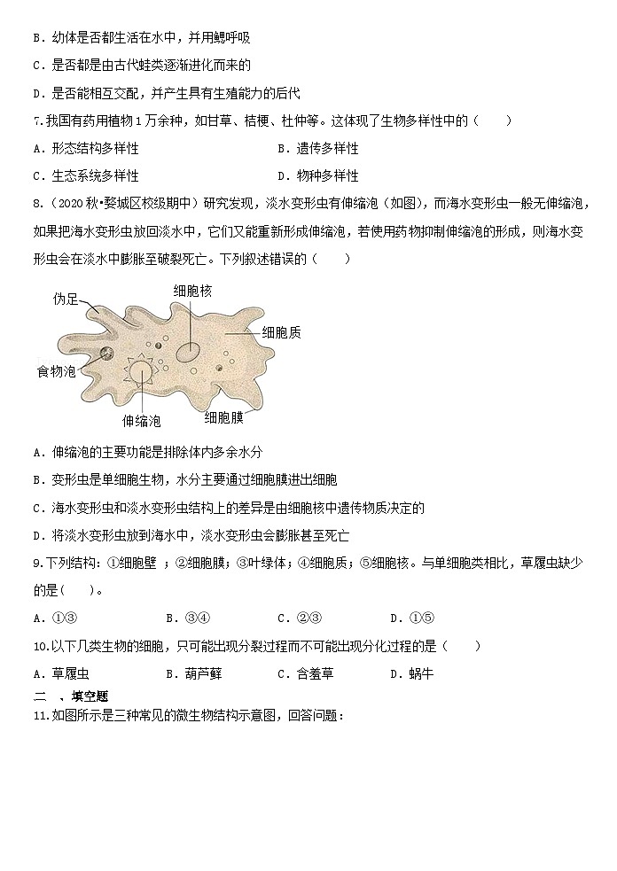 2.6物种的多样性 同步练习——浙教版七年级上册科学02