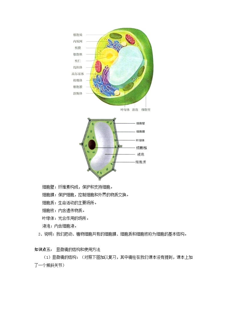 第二单元知识梳理 浙教版七年级上册科学03