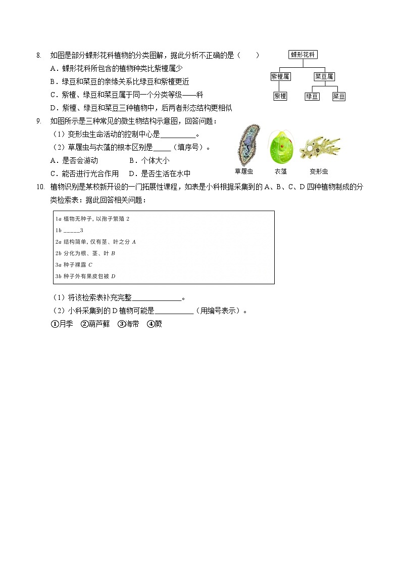 第二章  2.5～2.6 常见的植物和物种多样性学案    浙教版科学七年级上册03