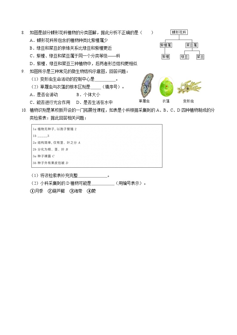 第二章  2.5～2.6 常见的植物和物种多样性学案    浙教版科学七年级上册03
