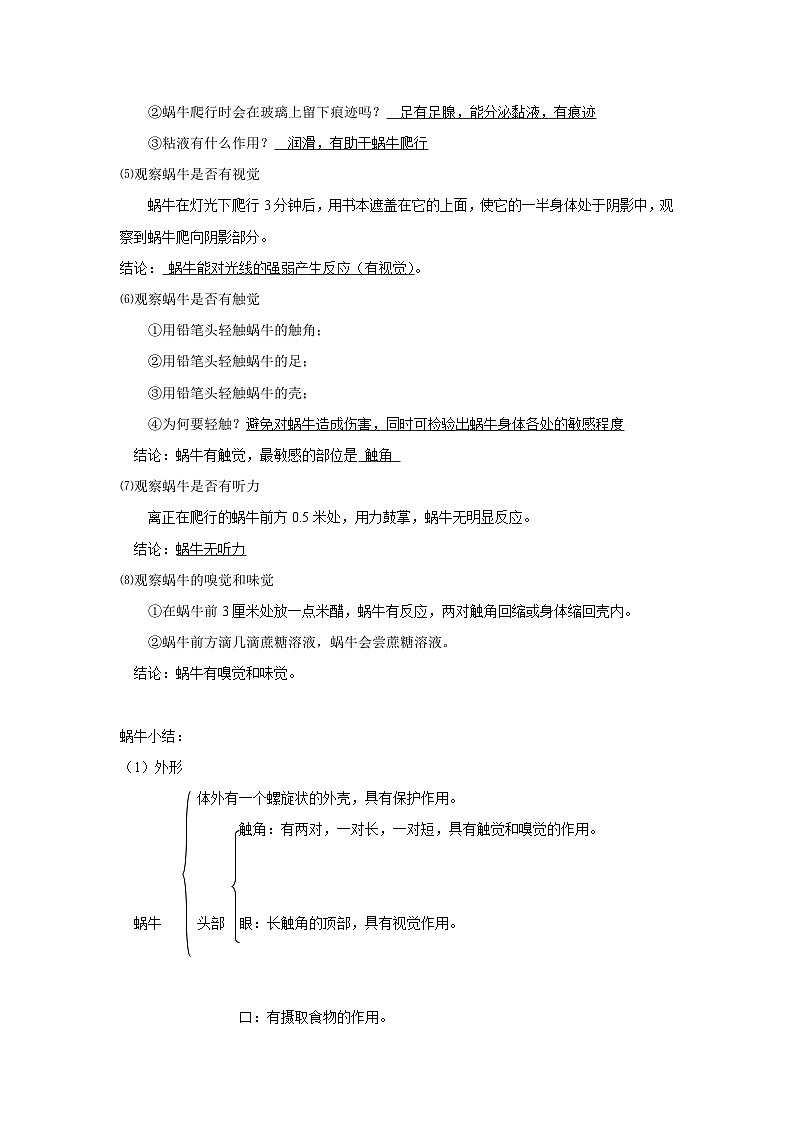 第二章观察生物知识点 浙教版七年级上册科学第2页