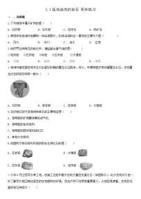 初中科学浙教版七年级上册第3节 组成地壳的岩石当堂检测题