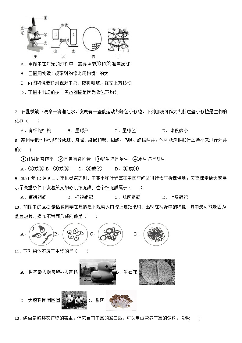 第二章总复习学案—浙教版七年级上册科学第2页