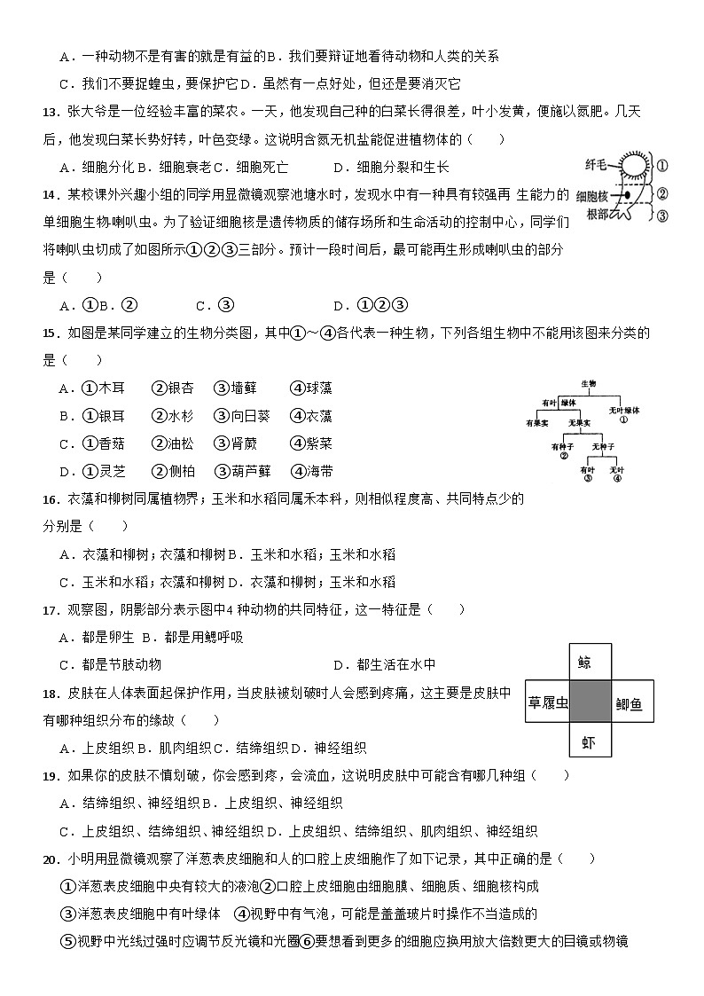 第二章总复习学案—浙教版七年级上册科学第3页