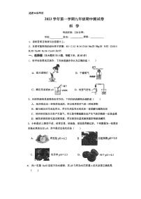 浙江省宁波市北仑区四校联考2023-2024学年九年级上学期11月期中科学试题