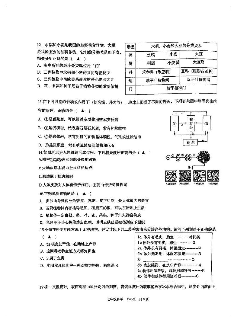 浙江省杭州市大关中学教育集团2023—2024学年上学期11月期中教学质量调研七年级科学 试卷03