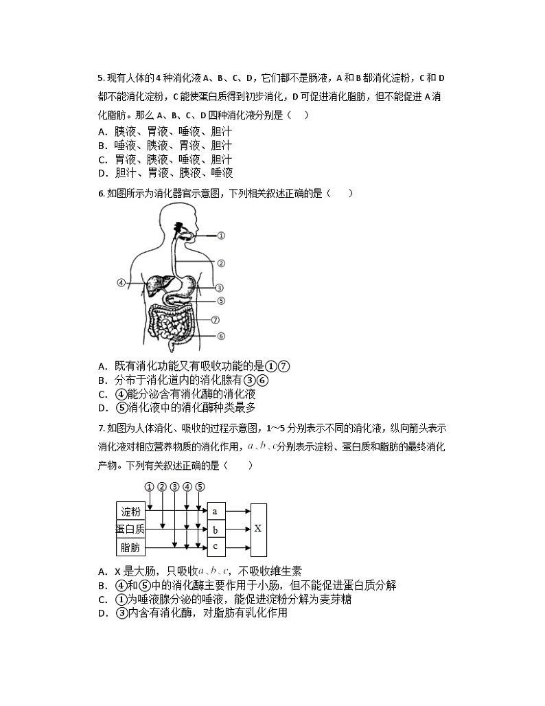 4.2食物的消化与吸收同步练习—— 浙教版九年级上册科学02