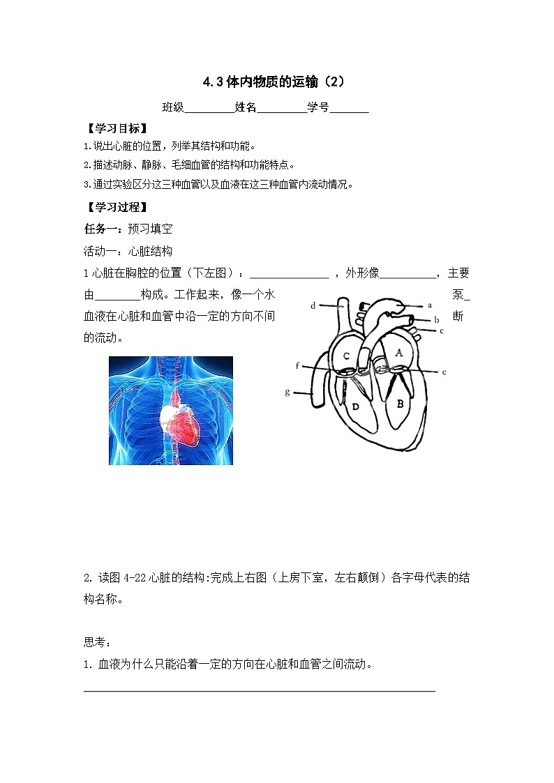 4.3体内物质的运输（2）同步学案     浙教版科学九年级上册01