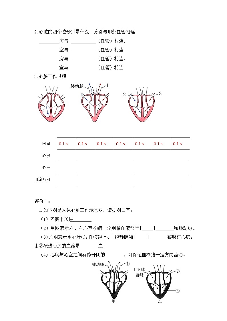 4.3体内物质的运输（2）同步学案     浙教版科学九年级上册02
