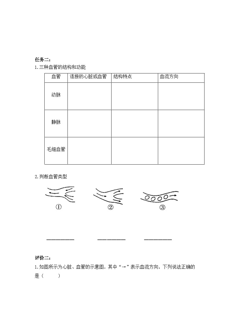4.3体内物质的运输（2）同步学案     浙教版科学九年级上册03