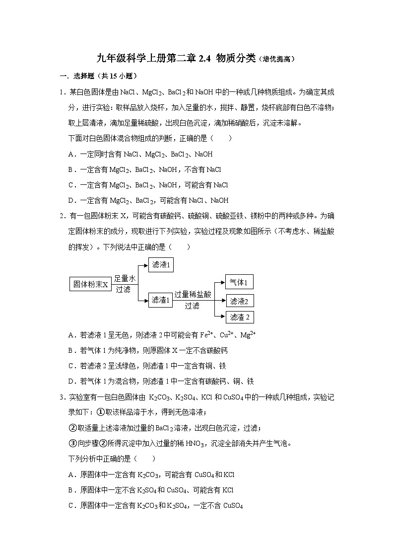 2.4 物质分类（培优提高卷）  浙教版九年级上册科学01