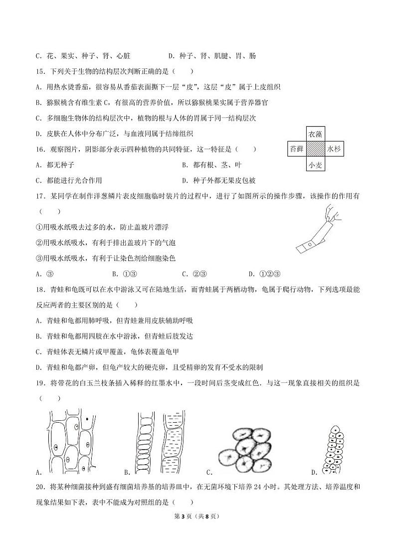 浙江省绍兴市浣江教育共同体2023-2024学年七年级第一学期期中科学试题卷03