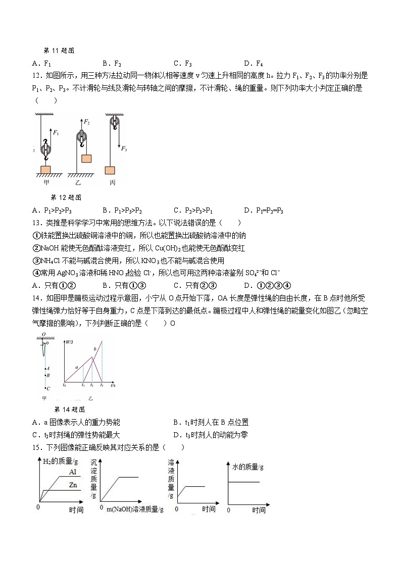浙江省宁波市宁海县 六校联考2023-2024学年九年级上学期11月月考科学试题03