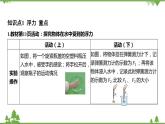 浙教版科学八年级上册 第1章第3节 水的浮力课件