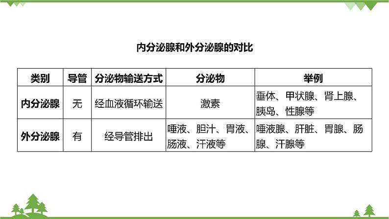 浙教版科学八年级上册 第3章第2节 人体的激素调节课件04