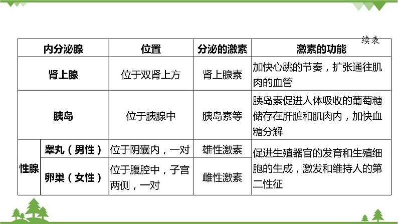 浙教版科学八年级上册 第3章第2节 人体的激素调节课件08