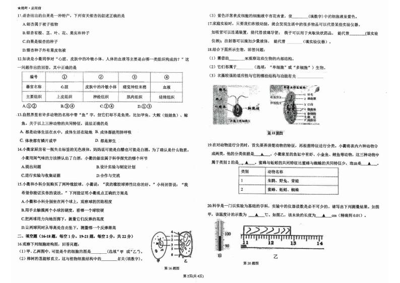 浙江省衢州市衢江区2023-2024学年七年级上学期11月期中科学试题02