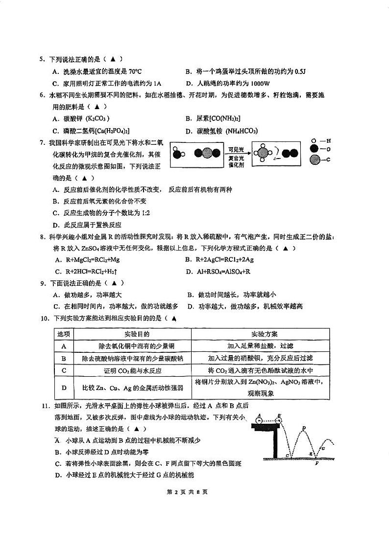 浙江省杭州绿城育华学校2023-2024学年九年级上学期期中科学试题02