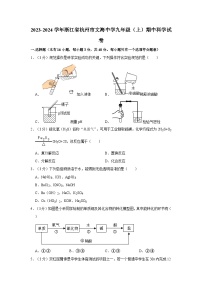 浙江省杭州市文海实验学校2023-2024学年九年级上学期期中科学试卷