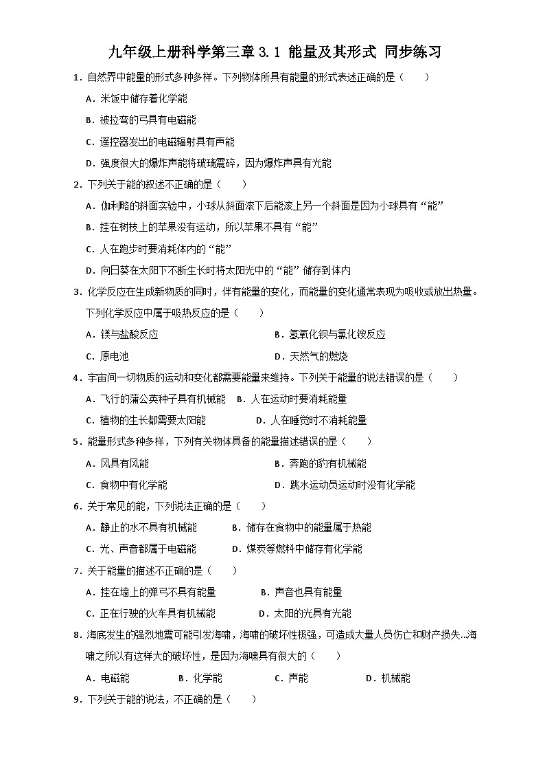 3.1 能量及其形式 同步练习  浙教版九年级上册科学01