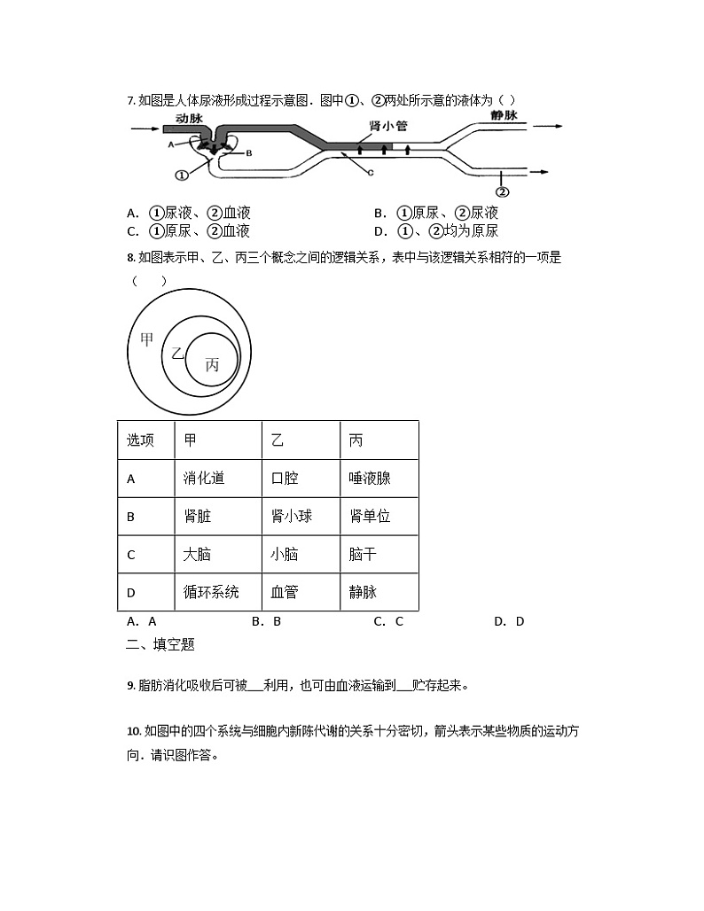 4.5体内物质的动态平衡同步练习     浙教版科学九年级上册02