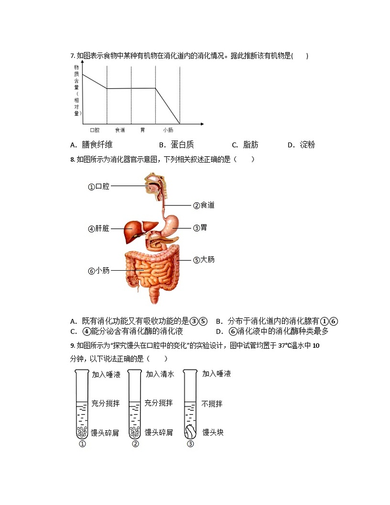 4.2食物的消化与吸收1同步练习   浙教版九年级上册科学02