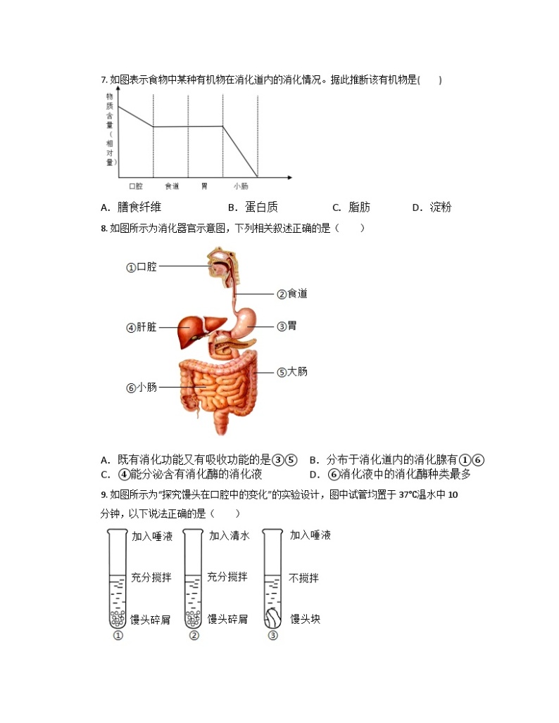 4.2食物的消化与吸收1同步练习   浙教版九年级上册科学02