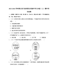 浙江省宁波市北仑区宁波联合实验中学2023-2024学年上学期七年级科学期中试卷