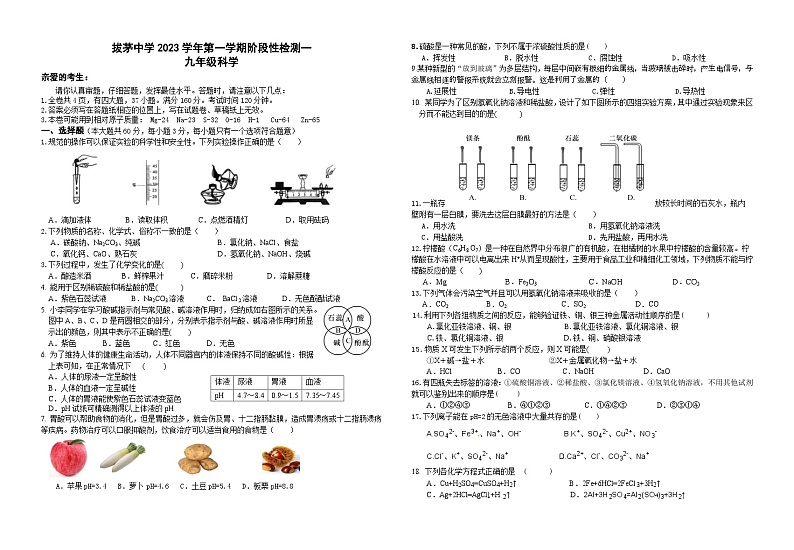 浙江省绍兴市新昌县新昌县拔茅中学2023-2024学年九年级上学期10月月考科学 试题01
