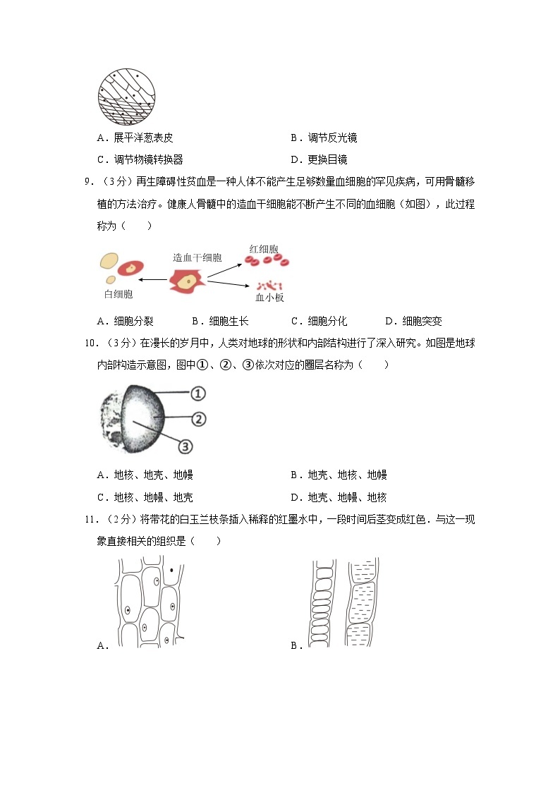 浙江省杭州市锦绣育才中学2023-2024学年七年级上学期期中考试科学试卷03