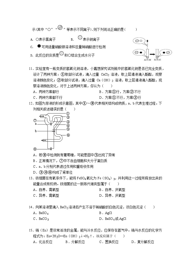 浙江省杭州市西湖区2023-2024学年九年级上学期期末学情检测科学提优卷03