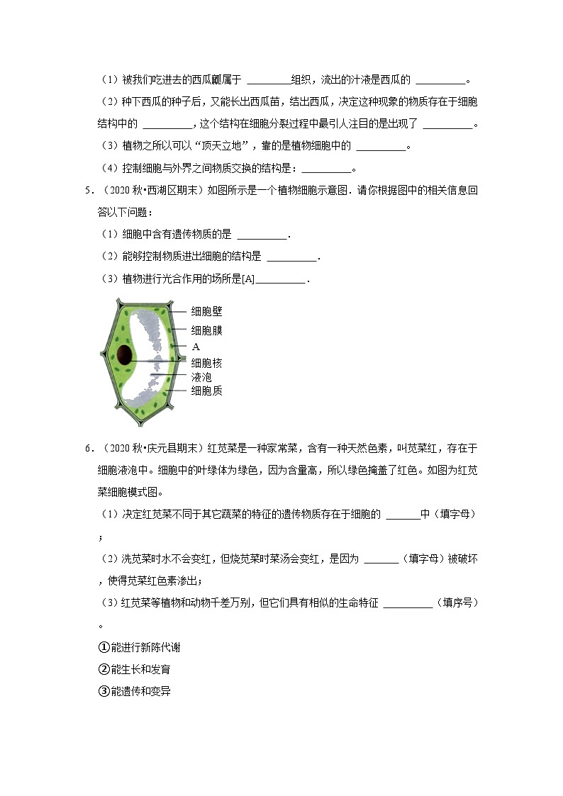 2.2细胞-解答题常考题（浙教版）-浙江省七上学期科学期末试题选编03