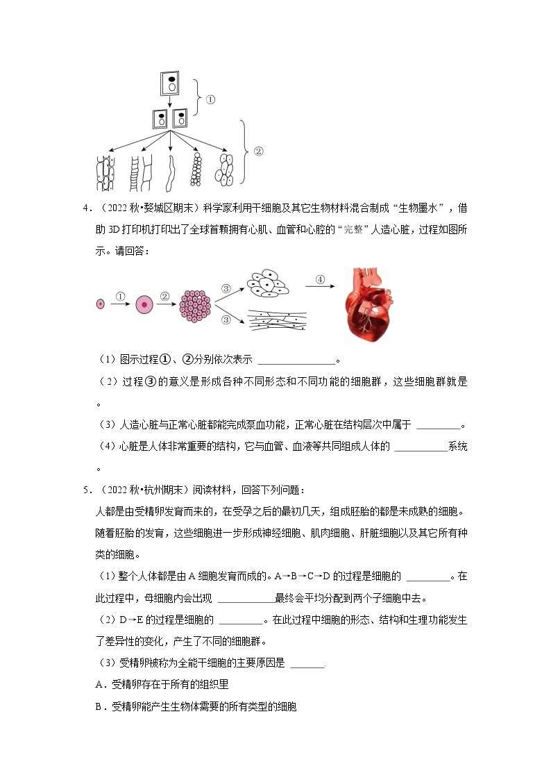 2.3 生物体的结构层次-解答题常考题（浙教版）-浙江省七上学期科学期末试题选编02