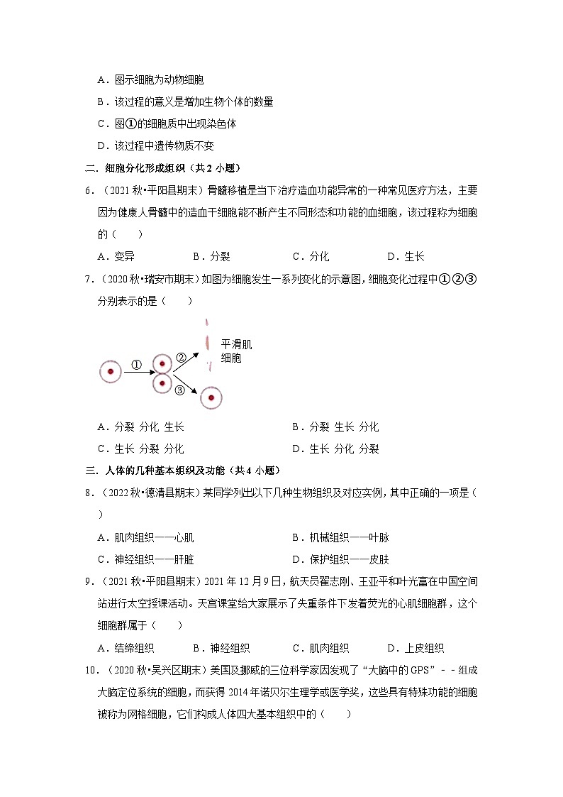 2.3 生物体的结构层次-选择题常考题（浙教版）-浙江省七上学期科学期末试题选编03