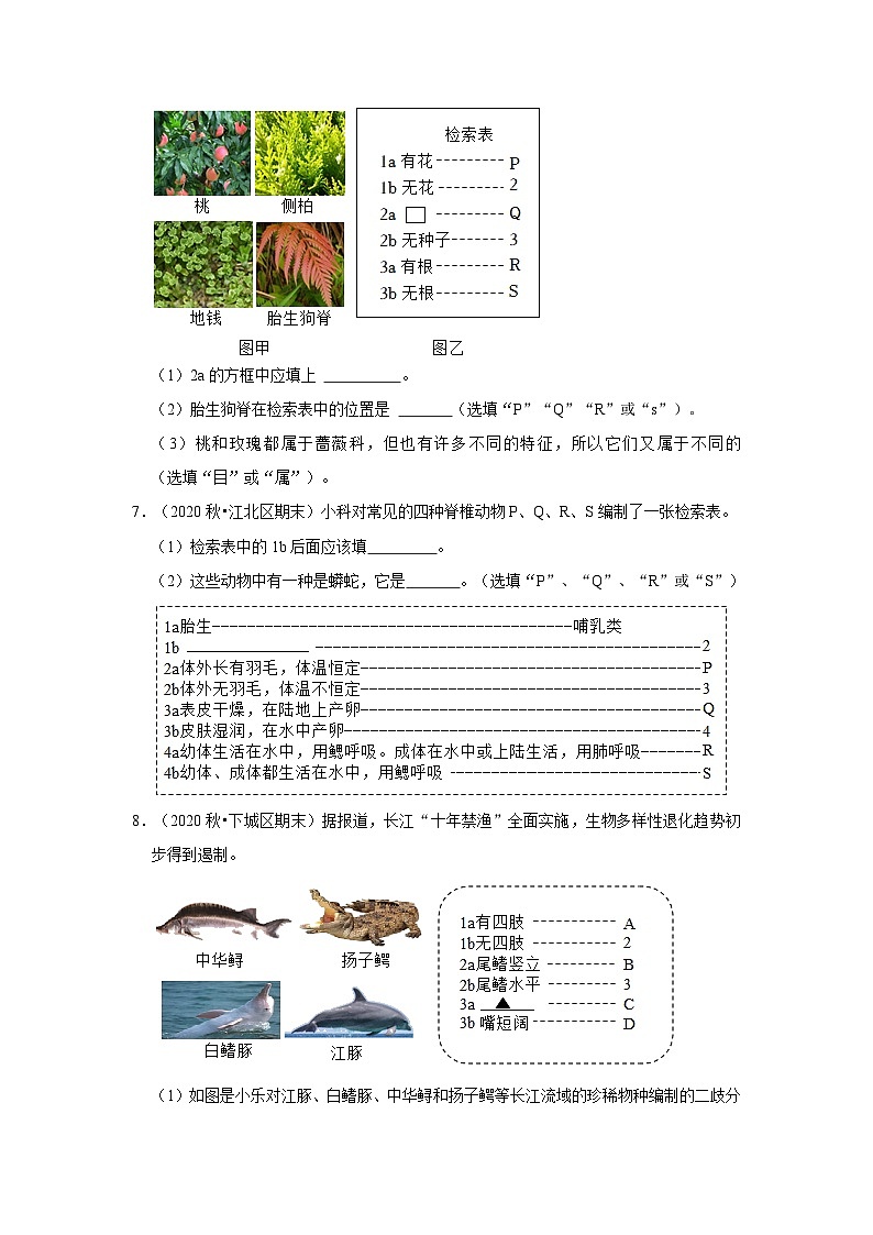 2.4 常见的动物-填空题常考题（浙教版）-浙江省七上学期科学期末试题选编03