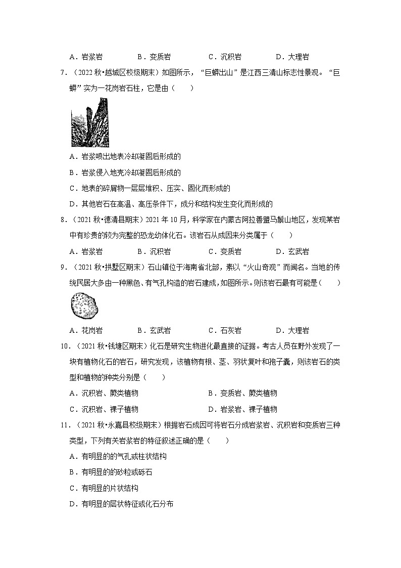 3.3 组成地壳的岩石-常考题（浙教版）-浙江省七上学期科学期末试题选编03