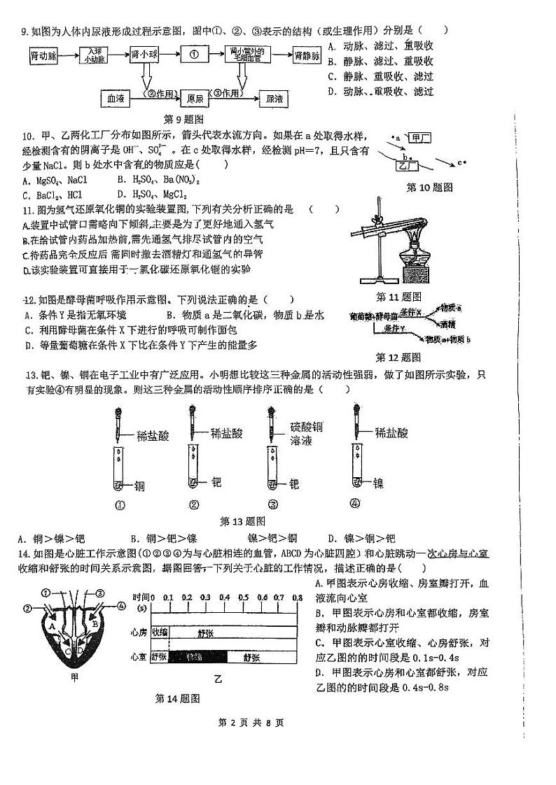 浙江省杭州市采荷中学2023-2024学年九年级上学期12月月考科学试题02